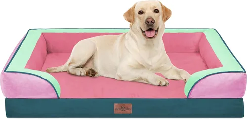 Vista 161 de Comfort Expression - Cama ortopédica para perros medianos, 28 x 19 pulgadas, cama impermeable y de apoyo de espuma con cojines removibles, sofá