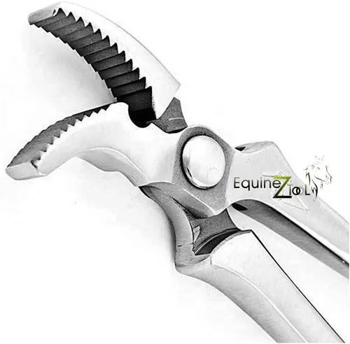 Vista 6 de Equinez Tools Pinza de mandíbula curvada de pezuñas: herramienta profesional para eliminación de uñas de pezuñas, recorte, alicates de acero