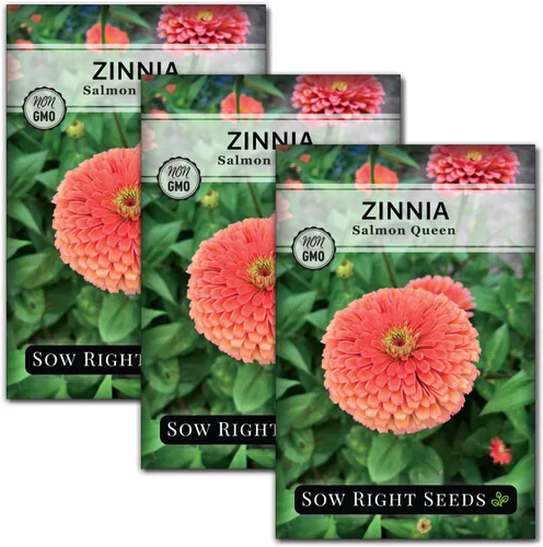 Vista 7 de Sow Right Seeds - Semillas de zinnia Salmon Queen para plantar - Paquete de reliquia sin OMG para plantar y cultivar un jardín de flores en el hogar