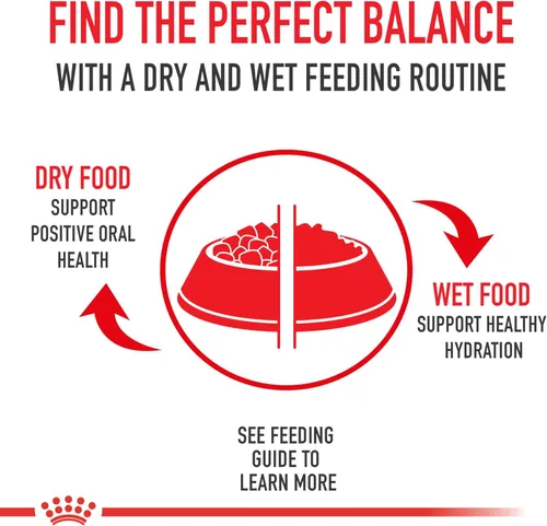 Vista 4 de Royal Canin Feline Health Nutrition - Rebanadas finas instintivas en salsa y bocados en salsa, paquete variado de comida para gatos, 3 onzas