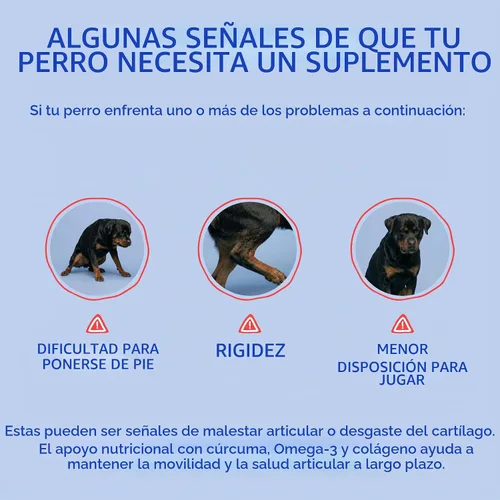 Vista 4 de Masticables de cúrcuma para perros, apoyo articular antiinflamatorio