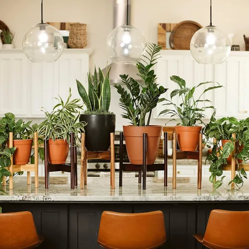 Vista 6 de RAINBLELAND Soporte para plantas de interior, soporte alto ajustable de madera para plantas, soporte para macetas de interior, soporte para macetas