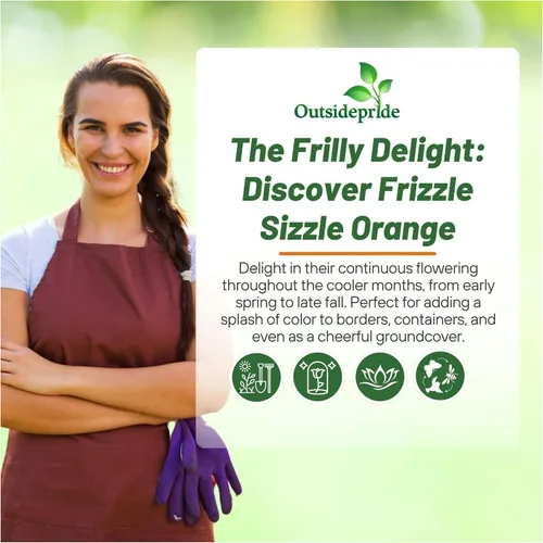 Vista 5 de Outsidepride Frizzle Sizzle - Semillas de pensamiento de viola naranja para plantar, 50 unidades. Flores bienales, resistentes al frío y aptas