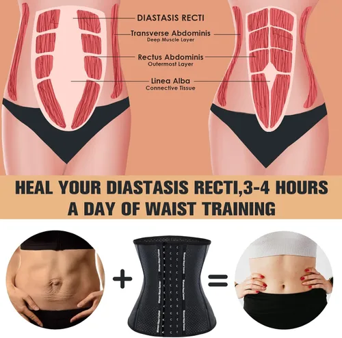 Vista 5 de YADIFEN Corset Waist Trainer for Women, Latex Waist Cincher Workout Body Shaper Breathable Girdle Sport Belt