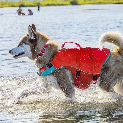 Vista 2 de Kurgo Surf n' Turf Life Jacket, Chili Red, Small Life Vest for Active Water Dogs, 2 Control Handles, 3 Adjustment Points, Reflective Trim, Leash