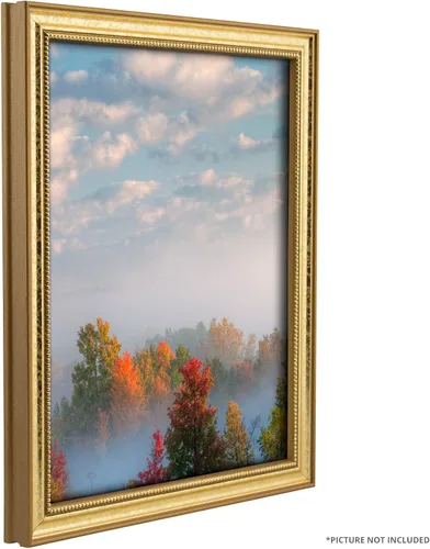 Vista 5 de Marco para fotografías decorativo con acabado ornado, color dorado, de Craig Frames