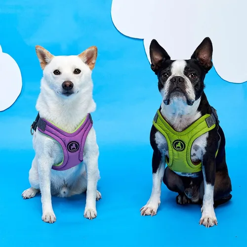 Vista 9 de Arnés de goma espuma con memoria Gooby Escape Free - Azul, pequeño - Arnés para perros sin tirón, de entrada fácil, con ajuste de cuatro puntos