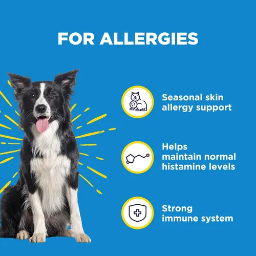 Vista 2 de WILDPAW WonderBites para un alivio rápido de las alergias, suplemento para mascotas para apoyar la picazón en la piel y el alivio de las alergias