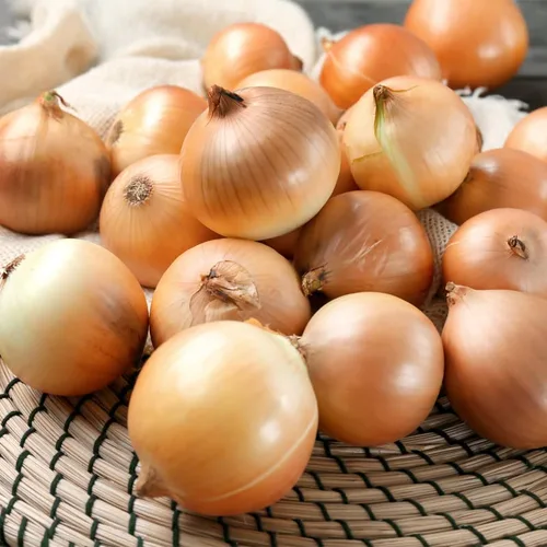 Vista 2 de Onion-Texas Early Grano 502 (250 Seeds)