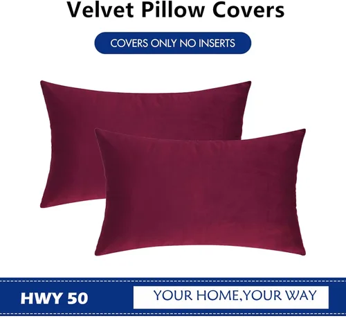 Vista 53 de HWY 50 fundas de almohada decorativas de terciopelo sólido para sofá, sala de estar., Terciopelo, gris, 20x20 pulgadas
