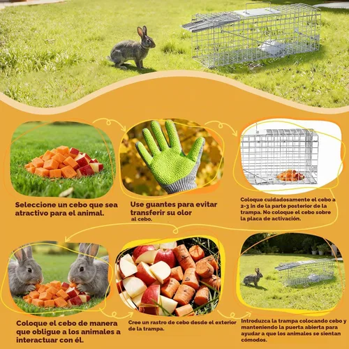 Vista 6 de Jaula plegable de trampa para animales humanos de 24" trampa de animales para gatitos callejeros, ardillas, conejos