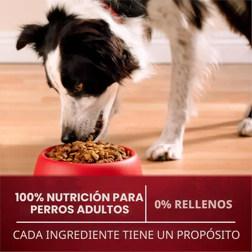 Vista 9 de Purina ONE True Instinct con salmón real y atún natural con vitaminas, minerales y nutrientes añadidos, fórmula seca de alimentos para perros
