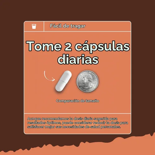 Vista 6 de Suplemento complejo de hongos con Reishi, Chaga, Maitake y Shiitake - 30 Mezcla de hongos con chaga, maitake y shiitake para la salud del cerebro