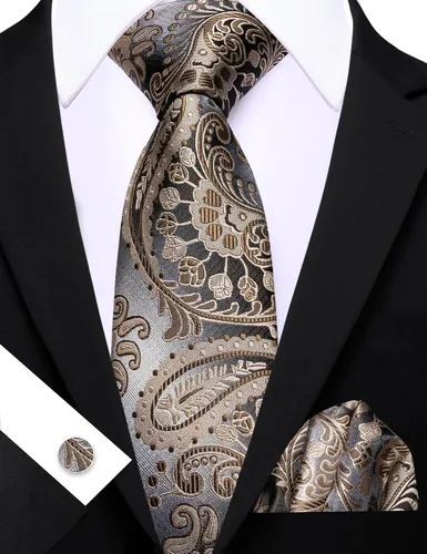 Vista 158 de Barry.Wang - Juego de corbata de seda para hombre, diseño de cachemira, pañuelo y gemelos de bolsillo