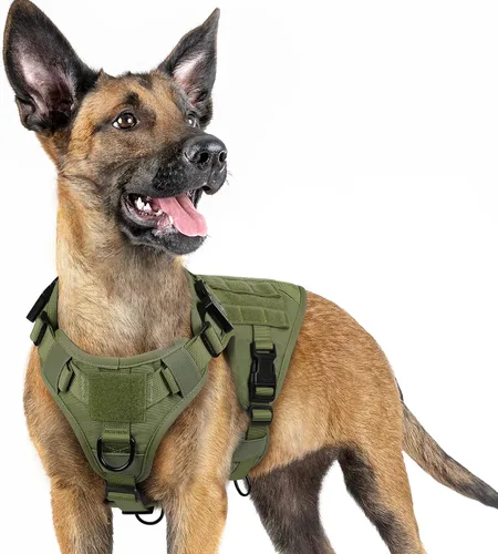 Vista 24 de rabbitgoo - Arnés táctico para perros pequeños, arnés resistente para mascotas con asa, chaleco de servicio sin tirones para razas pequeñas, chaleco