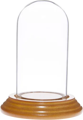Vista 4 de Plymor Mini cúpula de cristal de 2 x 4 pulgadas (base de chapa de madera negra)