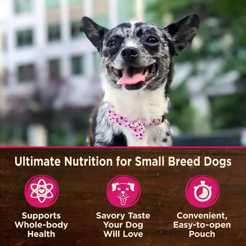Vista 6 de Wellness CORE - Alimento seco natural sin cereales para perros, raza pequeña, bolsa de 12 libras + mini comidas cubiertas de comida húmeda