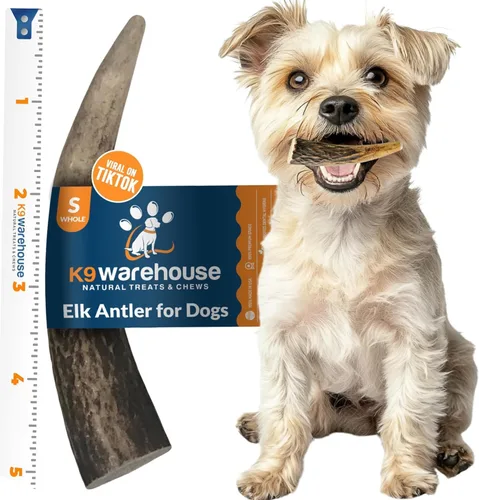 Vista 9 de K9warehouse Cuernos de alce natural para perros, cuernos masticables de calidad prémium para perros, cuernos de ciervo enteros de larga duración