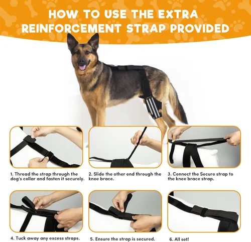 Vista 6 de BENCMATE Rodillera ajustable para perro, diseño universal para las cuatro extremidades, soporte de pierna trasera de ACL de perro, soporte CCL