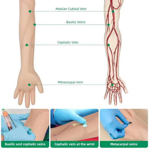 Vista 3 de Kit de práctica de flebotomía 31 piezas para entrenamiento de inyección, kit de práctica IV para enfermera con brazo de flebotomía, kit de práctica