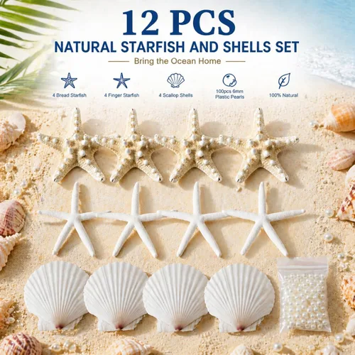 Vista 2 de JSPYFITS Estrellas de mar grandes de 2.5 a 4 pulgadas y conchas de vieira para manualidades, 12 unidades, conchas naturales de mar de playa