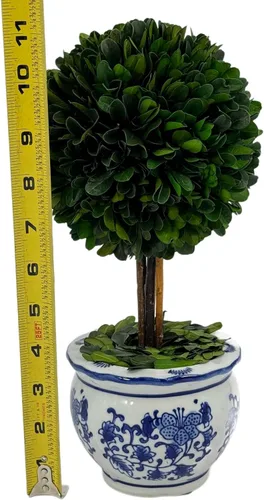 Vista 3 de Galt International Árbol topiario de bola de boj preservado naturalmente en maceta redonda de cerámica pintada a mano azul y blanca – Decoración