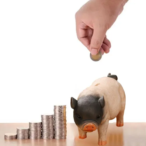 Vista 6 de Primst Alcancía de cerdo lindo, banco de dinero de resina, lindo cerdo caja de dinero, caja de monedas, caja de monedas para adultos, caja de dinero