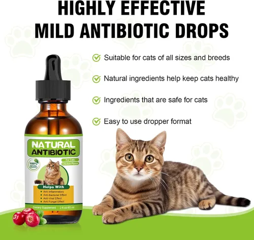 Vista 4 de Antibióticos naturales para gatos, antibiótico para gatos, multivitamínico para gatos, apoyo inmunológico, apoya el alivio de la picazón