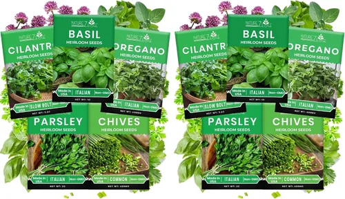 Vista 8 de Kit de semillas de 5 variedades de hierbas, orégano, cilantro, perejil, albahaca, cebollino