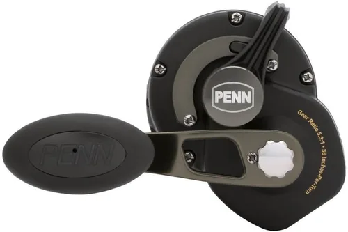 Vista 3 de ¡Nuevo! Carrete de pesca convencional Penn Squall II Level Wind