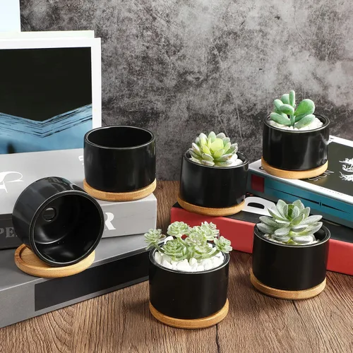 Vista 4 de Cindeer 12 juegos de macetas de cerámica para suculentas, macetas de cactus con bandeja de bambú, maceta cilíndrica pequeña con platillos de bambú