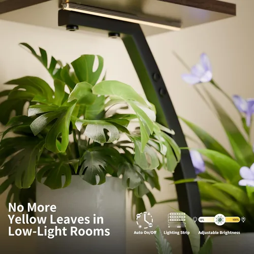 Vista 4 de CODACE Soporte para plantas de interior con luces de crecimiento, estante para plantas de 6 niveles para interiores, soportes de esquina de 50
