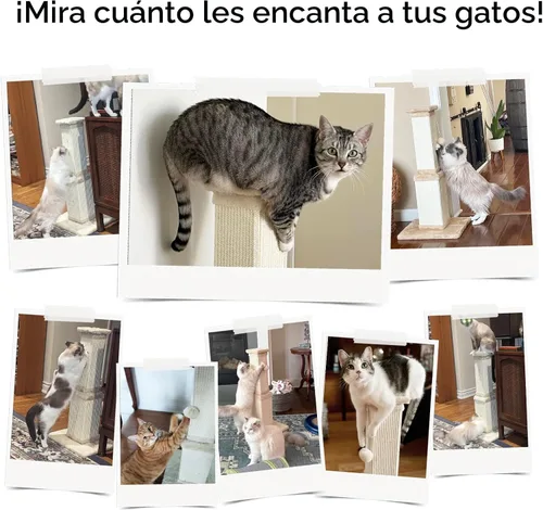 Vista 8 de Rascador para gatos de interior, rascador de sisal para gatos de 32 Beige