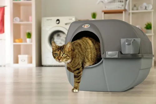 Vista 5 de Omega Paw Roll 'n Clean - Caja de arena autolimpiante, color marrón, grande