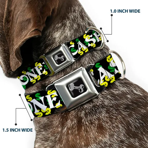 Vista 2 de Buckle-Down Collar de perro hebilla de cinturón de seguridad en efectivo dólar negro blanco amarillo verde, multicolor, 1.5 pulgadas de ancho - Se