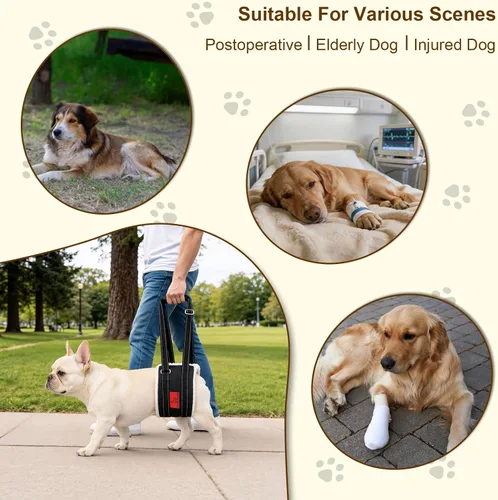 Vista 7 de Arnés de elevación para perros – Arnés ajustable para patas traseras con soporte suave para perros mayores, lesionados y discapacitados después