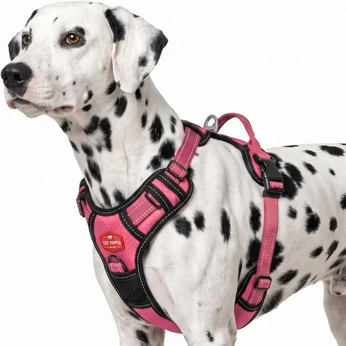 Vista 13 de Tuff Pupper Arnés para perro sin tirones, chaleco resistente para mascotas, clips para correa delantera y trasera, mango de seguridad fuerte