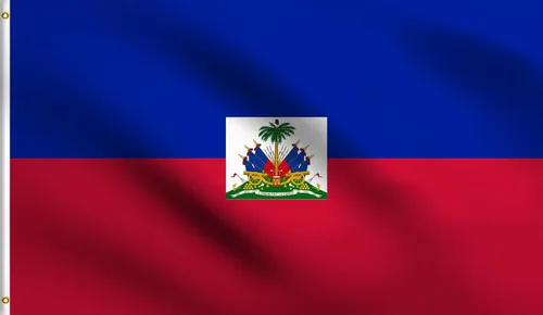 Vista 134 de DMSE - Bandera nacional beninesa beninesa de la República de África Occidental, 2 x 3 pies, 100 % poliéster, 100 % poliéster, resistente a los rayos