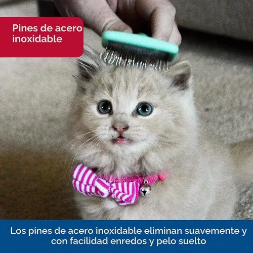 Vista 3 de Coastal Pet Li'l Pals - Cepillo deslizante para gatitos con puntas recubiertas