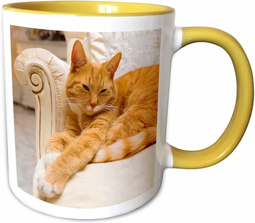 Vista 9 de 3dRose, Taza negra de dos tonos de 15 onzas, negro/blanco