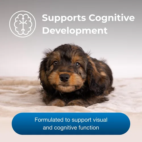 Vista 7 de PetAg Esbilac Healthy Development - 14 onzas, paquete de 2 - Suplemento nutricional de gran sabor para perros y cachorros destetados