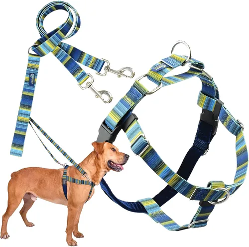 Vista 22 de 2 Hounds Design Freedom - Arnés para perro sin tirones, arnés ajustable y correa, fácil de caminar y control cómodo, se adapta a perros pequeños