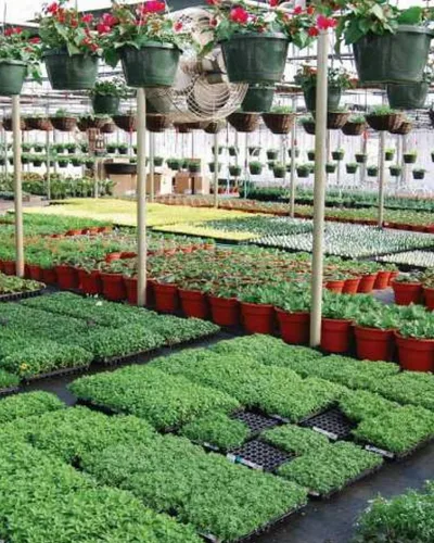 Vista 6 de Farm Plastic Supply - Cubierta de ensilaje reforzada con cuerda negra/blanca - 6 mil - (25' x 10') - Plástico de polietileno resistente