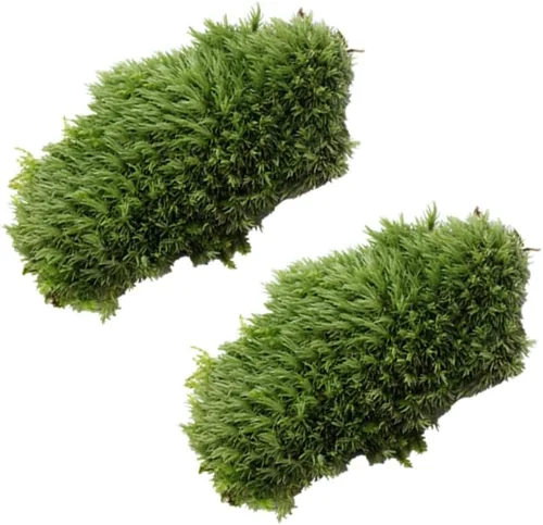 Vista 4 de Mipcase 3 piezas de plantas artificiales de musgo artificial para pecera, plantas artificiales para plantas de imitación para acuario, musgo
