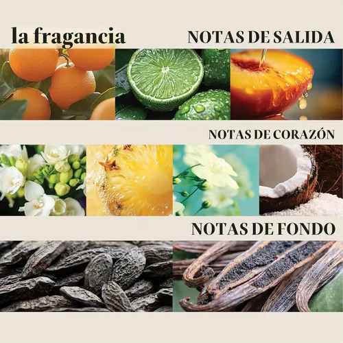 Vista 7 de L'ANZA Mascarilla curativa Moi Moi para el cabello, hidrata y refresca el cabello seco y grueso, rico en complejo codificador de bambú, sin