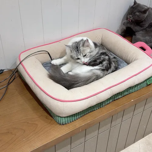 Vista 9 de 5V USB Pet Heating Pad with Adapter&Cover, Dual-Sensor, Cat&Dog, M