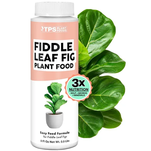 Vista 21 de Fertilizante violeta africana, alimento vegetal líquido para más flores, 1 galón