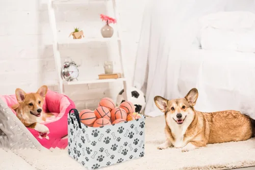 Vista 3 de Cesta Rectangular para Perros, Contenedor de Juguetes para Perros, Organizador de Cesta de Almacenamiento para Perros. Contenedor de Almacenamiento
