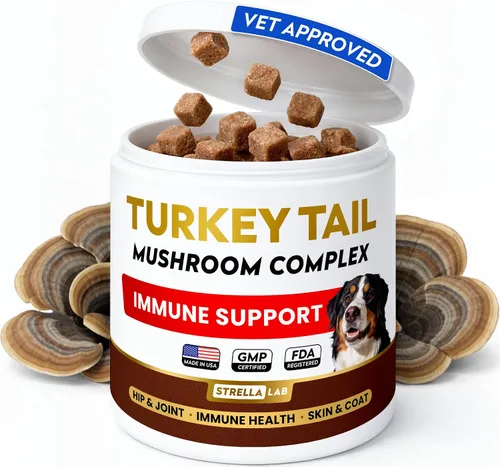 Vista 9 de STRELLALAB Glucosamina avanzada para perros, colágeno y mejillón de labios Cadera y articulaciones avanzadas