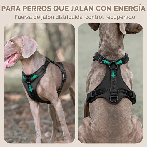 Vista 2 de Sunraymascota Arnés para perro sin tirones con licra, dispersión de fuerza de tres puntos y acolchado 3D, malla transpirable ajustable para perros